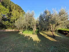 ea_27